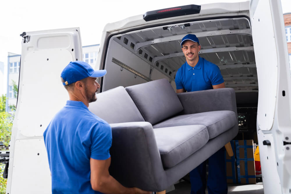 Stress-free Moving Oldsmar